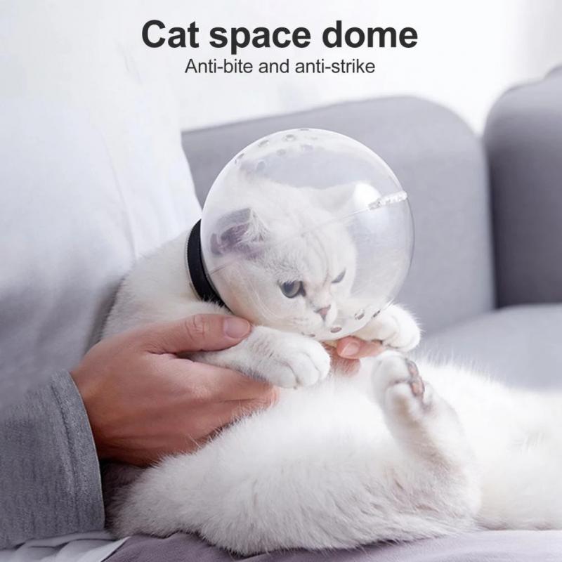 Masque de Toilettage Transparent pour Chat