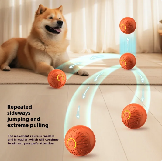 Balle Électrique Sautante pour Animaux