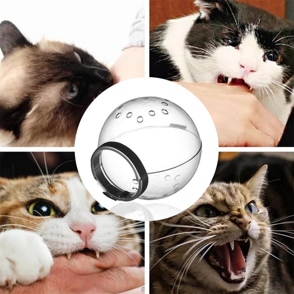 Masque de Toilettage Transparent pour Chat