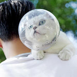 Masque de Toilettage Transparent pour Chat