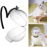 Masque de Toilettage Transparent pour Chat
